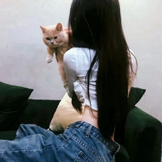 口碑好片
